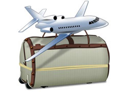 Правила перевозки багажа самолётом